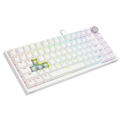 Savio Klawiatura magnetyczna ASTRAL White OUTEMU White Jade Magnetic RGB