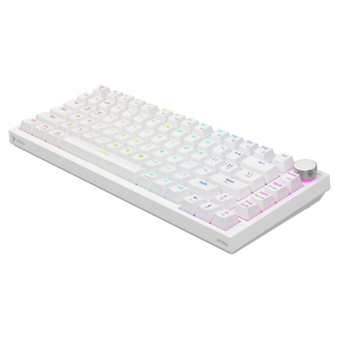 Savio Klawiatura magnetyczna ASTRAL White OUTEMU White Jade Magnetic RGB