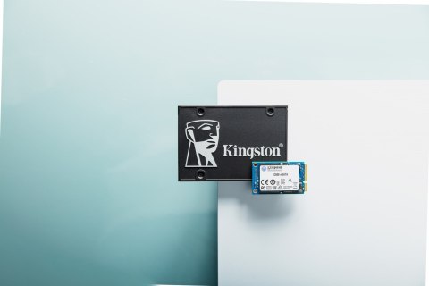 Kingston KINGSTON DYSK SSD SKC600MS/256G KC600 SATA3