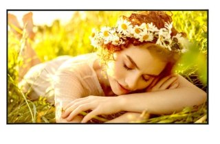 LG Electronics Monitor wielkoformatowy 55UL5Q-E 500cd/m2 UHD 24/7