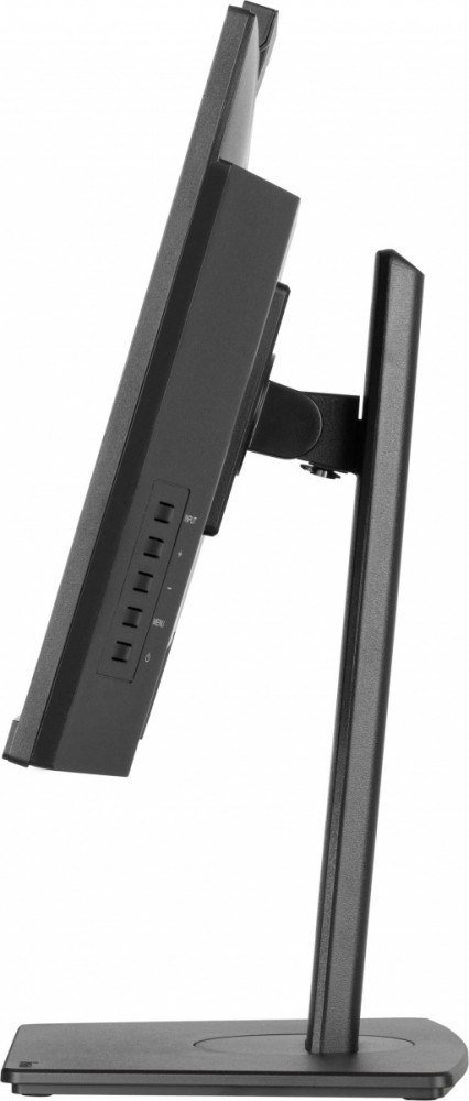 IIYAMA Monitor 24 cale XUB2490HSUH-B2 + Norton Small Business card 250G PL