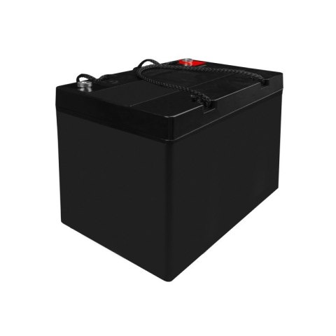 Green Cell Akumulator AGM VRLA 12V 55Ah IP54