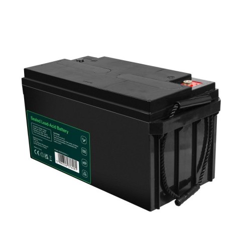 Green Cell Akumulator AGM VRLA 12V 65Ah IP54