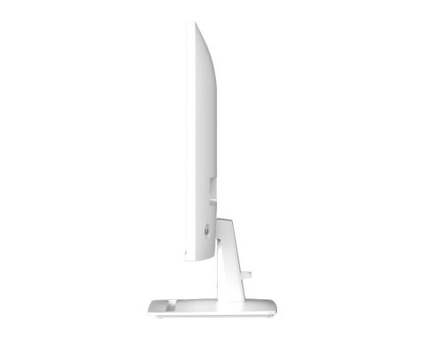 MSI Monitor PRO MP251W E2 24.5 cala/LED/FHD/Flat/120Hz/Biały