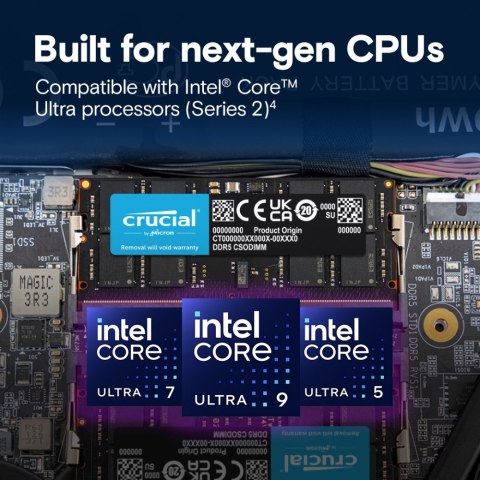 Crucial Pamięć do notebooka DDR5 CSODIMM 24GB (1*24GB)/6400 CL52