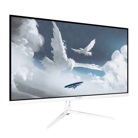 AROZZI Arozzi Nova 27" monitor komputerowy 68,6 cm (27") 2560 x 1440 px Quad HD LED Biały