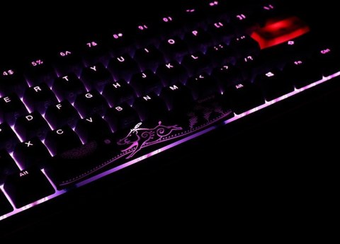 Ducky Ducky One 2 Mini RGB klawiatura Gaming USB US English Czarny