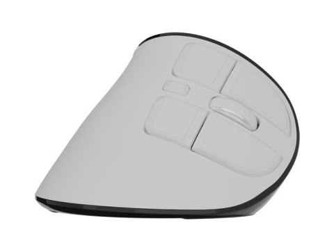 Natec Mysz wertykalna EUPHONIE PRO 2400DPI BT 5.0 bezprzewodowa biała