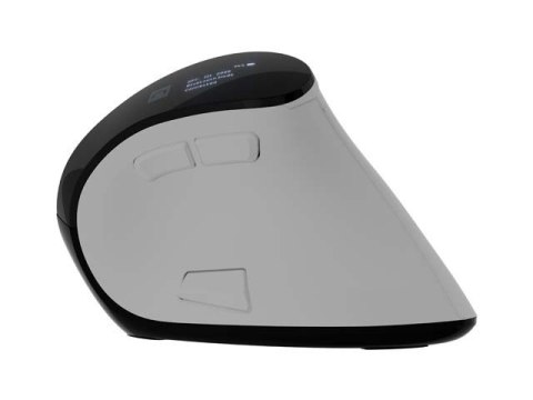 Natec Mysz wertykalna EUPHONIE PRO 2400DPI BT 5.0 bezprzewodowa biała