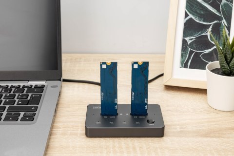 DIGITUS Digitus Stacja klonująca NVMe Obudowa USB3.1 Gen2 Type-C NVMe M.2 SSD