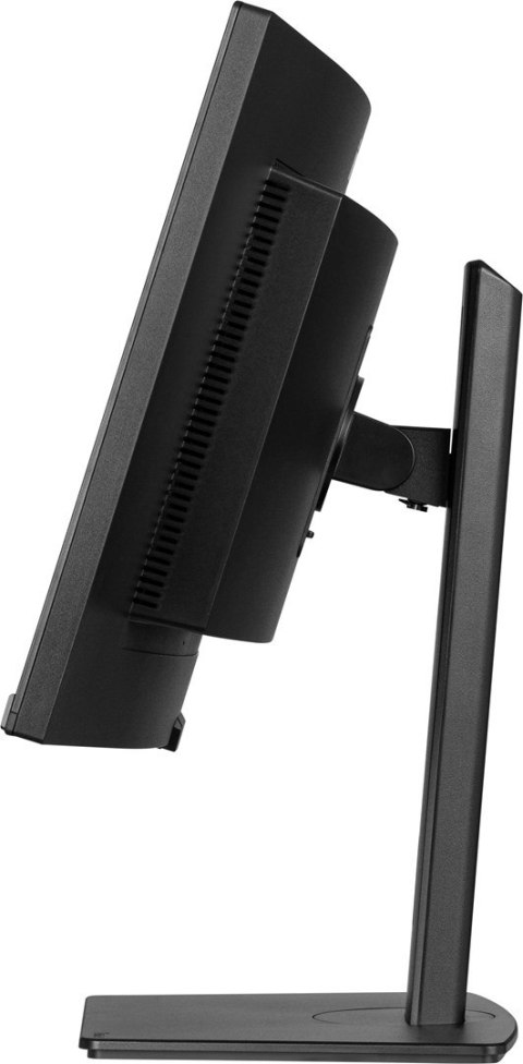 IIYAMA Monitor iiyama XCB3497WQSNP-B1 34" - Płaski ekran - 86,4 cm