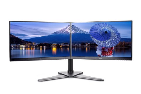 IIYAMA Uchwyt Iiyama DS1002D-B1 - stand z ramieniem regulowanym