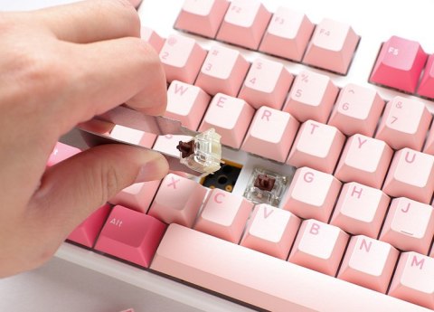 Ducky Ducky One 3 TKL Gossamer Pink klawiatura Gaming US
