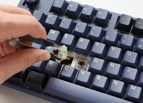 Ducky Ducky One 3 TKL klawiatura Gaming USB US English Niebieski