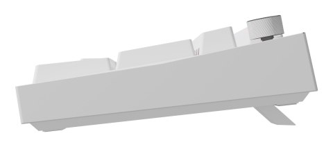 GENESIS GENESIS NKG-2300 klawiatura Uniwersalne USB QWERTY Angielski Biały