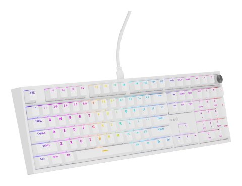 GENESIS GENESIS NKG-2300 klawiatura Uniwersalne USB QWERTY Angielski Biały