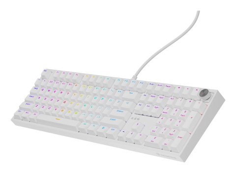 GENESIS GENESIS NKG-2300 klawiatura Uniwersalne USB QWERTY Angielski Biały