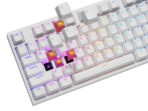 GENESIS GENESIS NKG-2300 klawiatura Uniwersalne USB QWERTY Angielski Biały