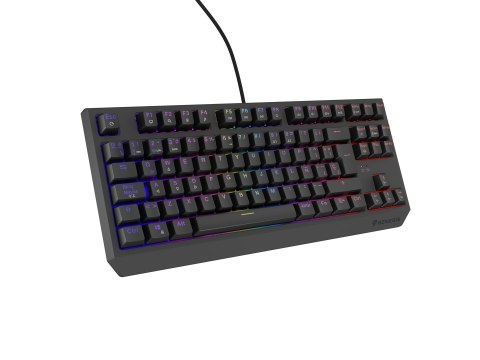 GENESIS GENESIS Thor 230 TKL klawiatura Gaming USB QWERTY Hiszpański Czarny