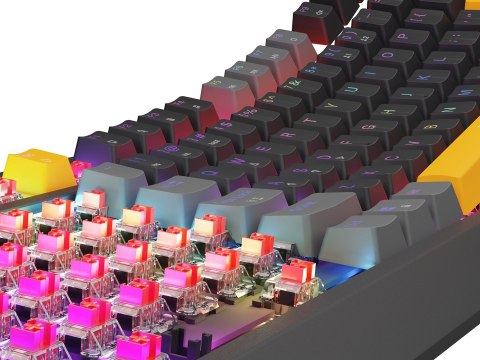GENESIS Klawiatura gamingowa GENESIS Thor 230 TKL NKG-2081 QWERTY