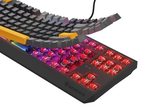 GENESIS Klawiatura gamingowa GENESIS Thor 230 TKL NKG-2081 QWERTY