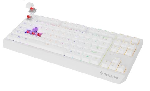 GENESIS GENESIS Thor 230 TKL klawiatura Gaming USB + RF Wireless + Bluetooth QWERTY US English Biały
