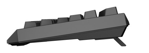 GENESIS GENESIS Thor 230 TKL klawiatura Gaming USB + RF Wireless + Bluetooth QWERTY US English Czarny