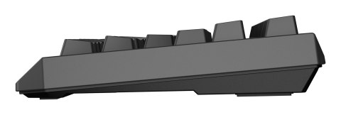 GENESIS GENESIS Thor 230 TKL klawiatura Gaming USB + RF Wireless + Bluetooth QWERTY US English Czarny