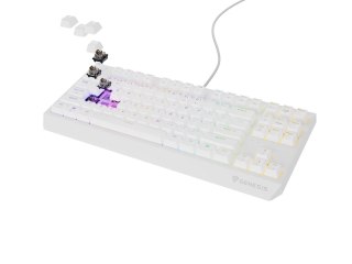 GENESIS GENESIS Thor 230 TKL klawiatura USB + RF QWERTY