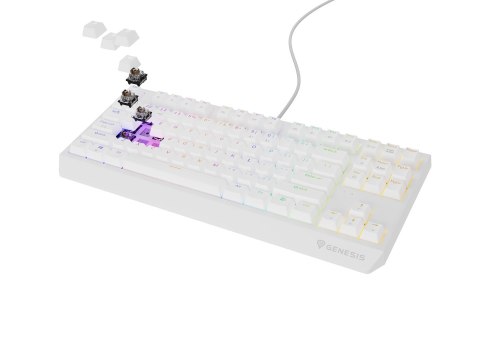 GENESIS GENESIS Thor 230 TKL klawiatura USB + RF QWERTY
