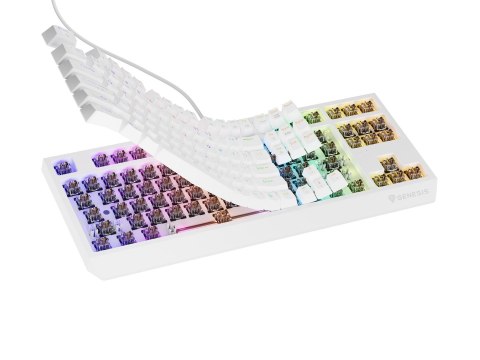 GENESIS GENESIS Thor 230 TKL klawiatura USB + RF QWERTY
