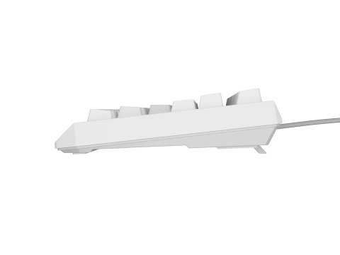 GENESIS GENESIS Thor 230 TKL klawiatura USB + RF QWERTY