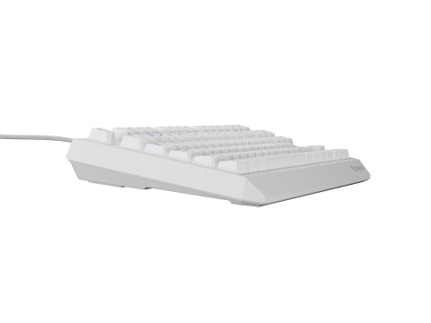 GENESIS GENESIS Thor 230 TKL klawiatura USB + RF QWERTY