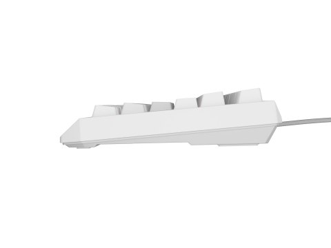 GENESIS GENESIS Thor 230 TKL klawiatura USB + RF QWERTY