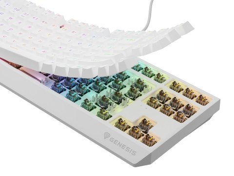 GENESIS GENESIS Thor 230 TKL klawiatura USB + RF QWERTY