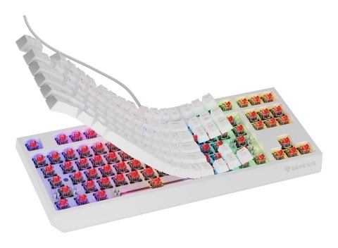 GENESIS Klawiatura GENESIS Thor 230 TKL Gaming USB QWERTY US English Biały