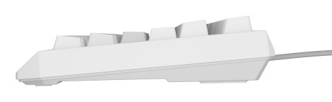 GENESIS Klawiatura GENESIS Thor 230 TKL Gaming USB QWERTY US English Biały