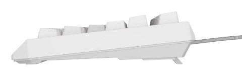 GENESIS Klawiatura GENESIS Thor 230 TKL Gaming USB QWERTY US English Biały