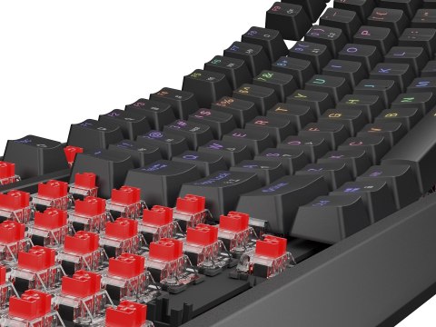 GENESIS Klawiatura GENESIS Thor 230 TKL NKG-2077 Gaming USB QWERTY Czarny