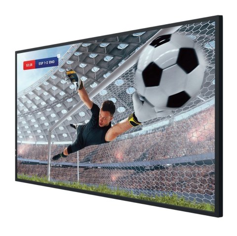 Hisense Monitor 55DM66D 55 cali 4K UHD IPS Digital Signage Display 24/7