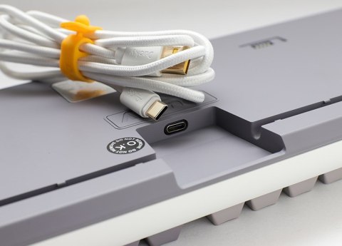 Ducky Ducky One 3 TKL Mist Grey klawiatura Gaming USB Niemiecki Szary
