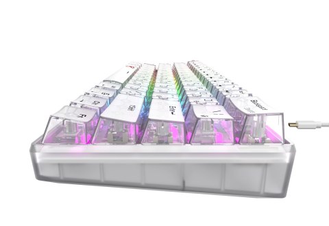 HAVIT Klawiatura gamingowa Havit KB903L (biel transparentna)