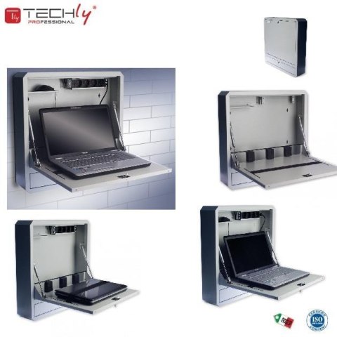 Techly Szafka przeciw kradzieżowa TechlyPro do notebooka (do 19") ścienna, szara