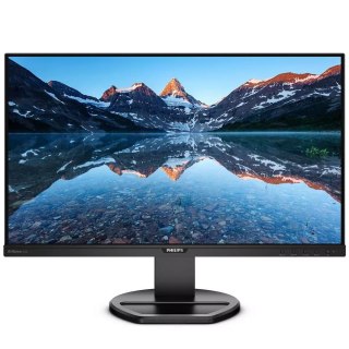 MMD-Monitors & Displays Nederland B.V. Monitor Philips 25" 252B9/00 VGA DVI HDMI DP 5xUSB głośniki