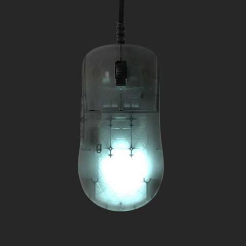 Endgame Gear Endgame Gear OP1 RGB myszka Gaming Po prawej stronie USB Typu-A Optyczny 26000 DPI