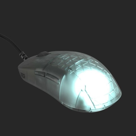 Endgame Gear Endgame Gear OP1 RGB myszka Gaming Po prawej stronie USB Typu-A Optyczny 26000 DPI