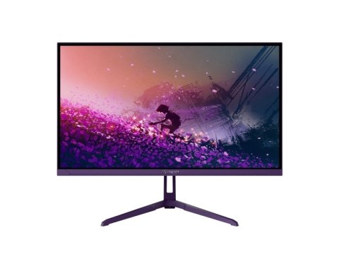 AROZZI Arozzi Nova 24" monitor komputerowy 60,5 cm (23.8") 1920 x 1080 px Full HD LED Fioletowy