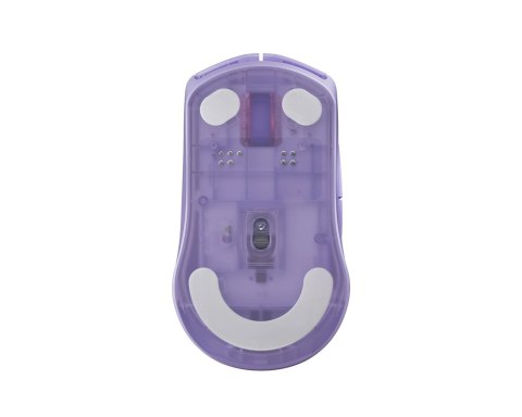 SteelSeries SteelSeries Rival 3 Wireless Gen 2, Levander