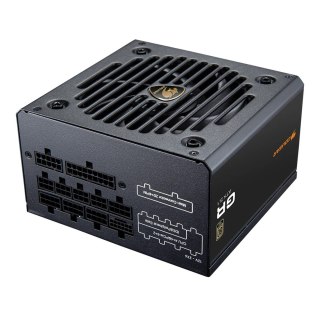 COUGAR COUGAR CGRGDN-850 moduł zasilaczy 850 W 20+4 pin ATX ATX Czarny