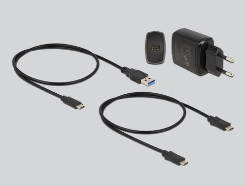 DELOCK DeLOCK Stacja dokująca M.2 dla 2 x M.2 SATA SSD z funkcją klonowania